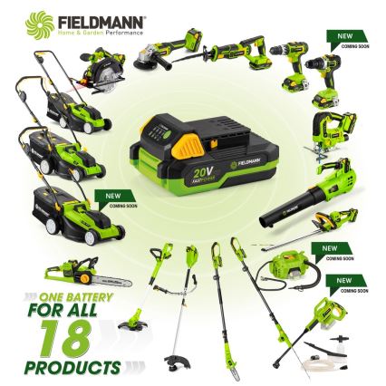 Fieldmann - Batería 20V Li-Ion 2000 mAh