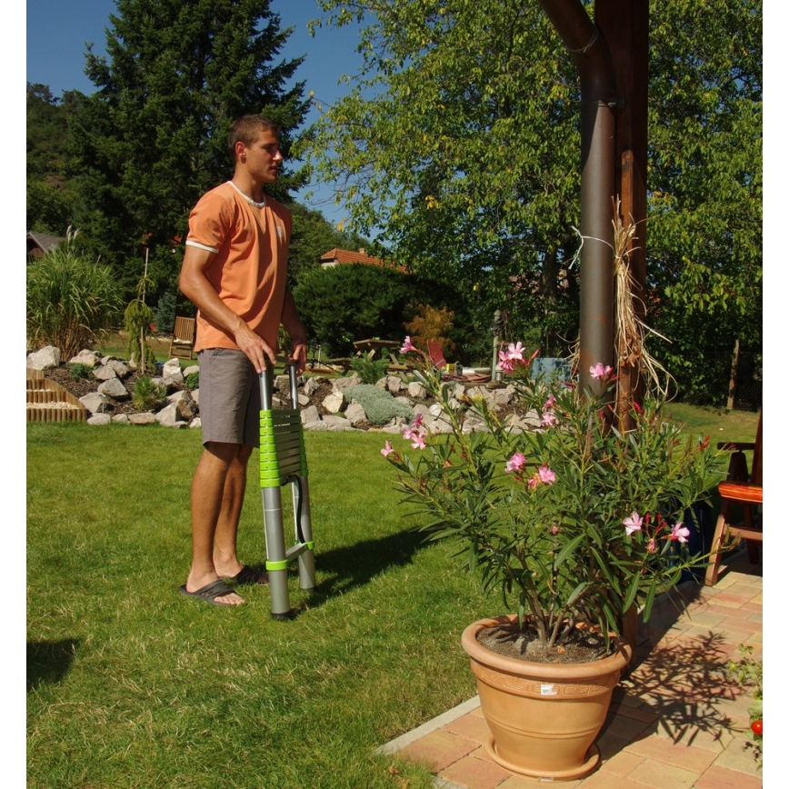 Fieldmann - Escalera telescópica de 3,8 m