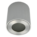 Foco exterior FARA 1xGU10/30W/230V IP54 plateado