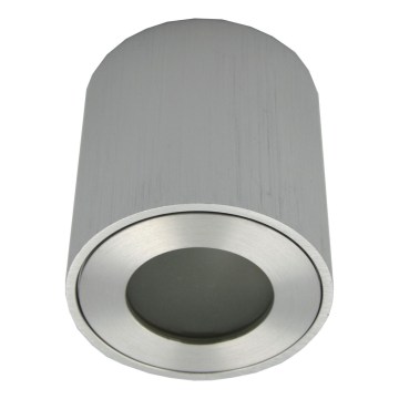 Foco exterior FARA 1xGU10/30W/230V IP54 plateado