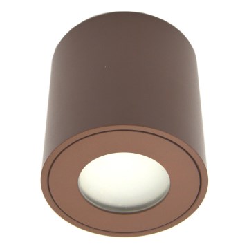 Foco exterior orientable FARA 1xGU10/30W/230V IP54 marrón