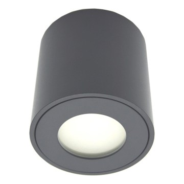 Foco exterior orientable FARA 1xGU10/30W/230V IP54 negro