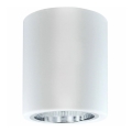 Foco JUPITER 1xE27/20W/230V diá. 9,8 cm blanco