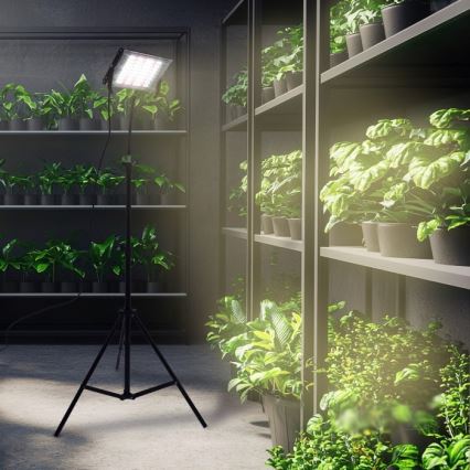 Proyector LED con soporte para cultivo de plantas FIRON LED/45W/230V IP54 negro