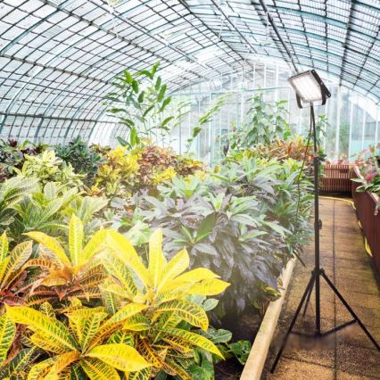 Proyector LED con soporte para cultivo de plantas FIRON LED/45W/230V IP54 negro