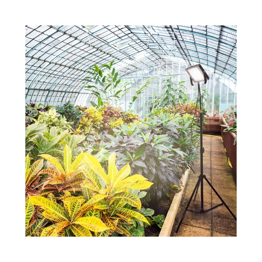 Proyector LED con soporte para cultivo de plantas FIRON LED/45W/230V IP54 negro