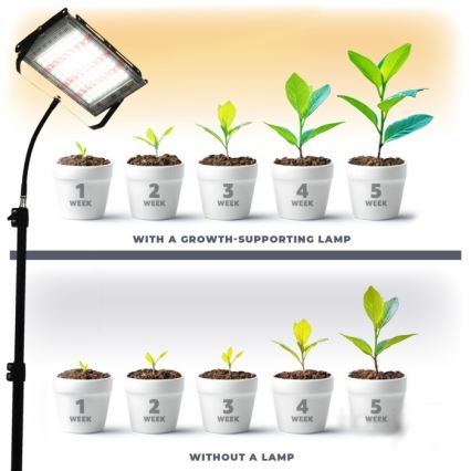 Proyector LED con soporte para cultivo de plantas FIRON LED/45W/230V IP54 negro