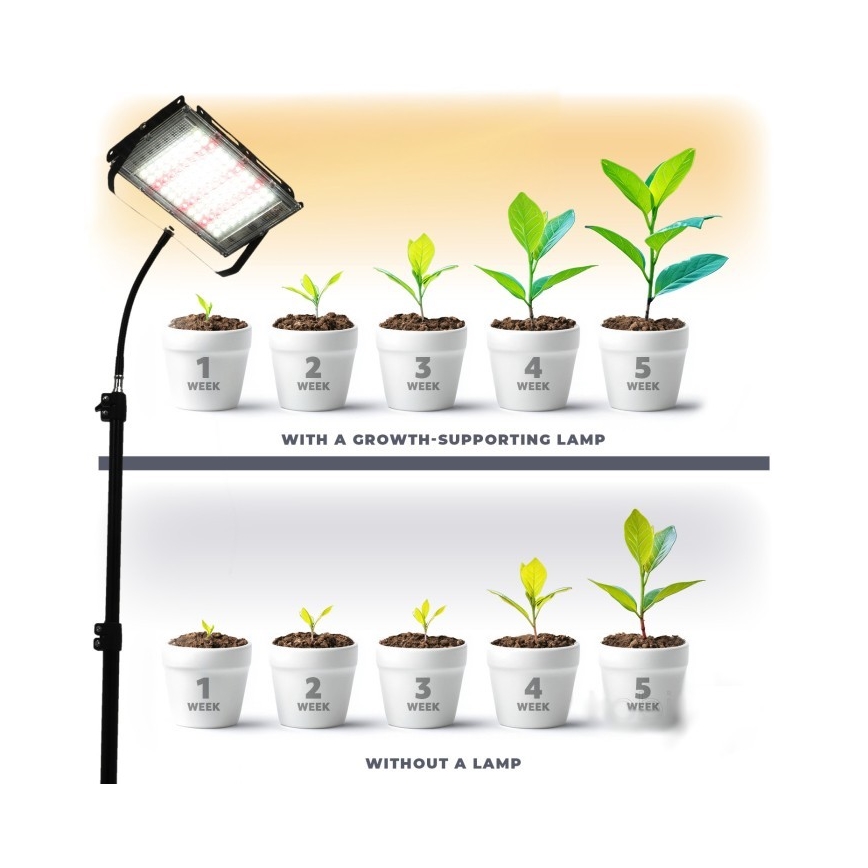Proyector LED con soporte para cultivo de plantas FIRON LED/45W/230V IP54 negro