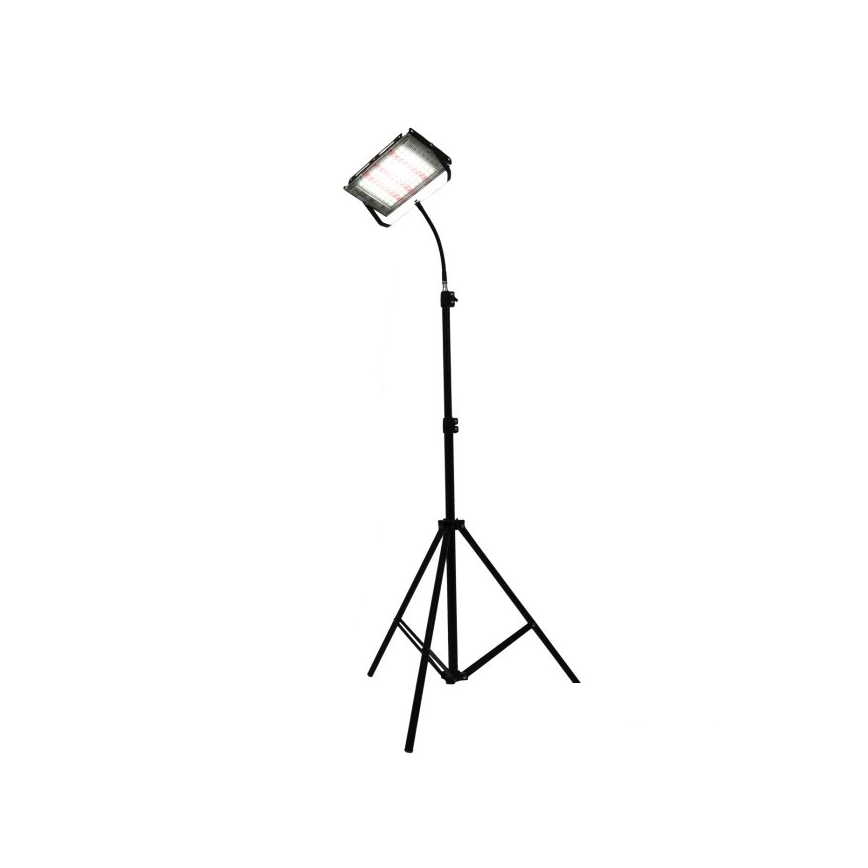Proyector LED con soporte para cultivo de plantas FIRON LED/45W/230V IP54 negro
