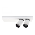 Foco LED de techo BERGEN 2xLED/11W/230V