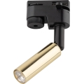 Foco LED para sistema de raíles monofásico LAGOS 1xG9/3W/230V dorado/negro