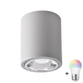 Foco LED RGBW regulable JUPITER 1xE27/6,5W/230V 2700-6500K Wi-Fi diámetro 9,8 cm gris