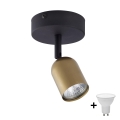 Foco LED TOP 1xGU10/10W/230V oro/negro