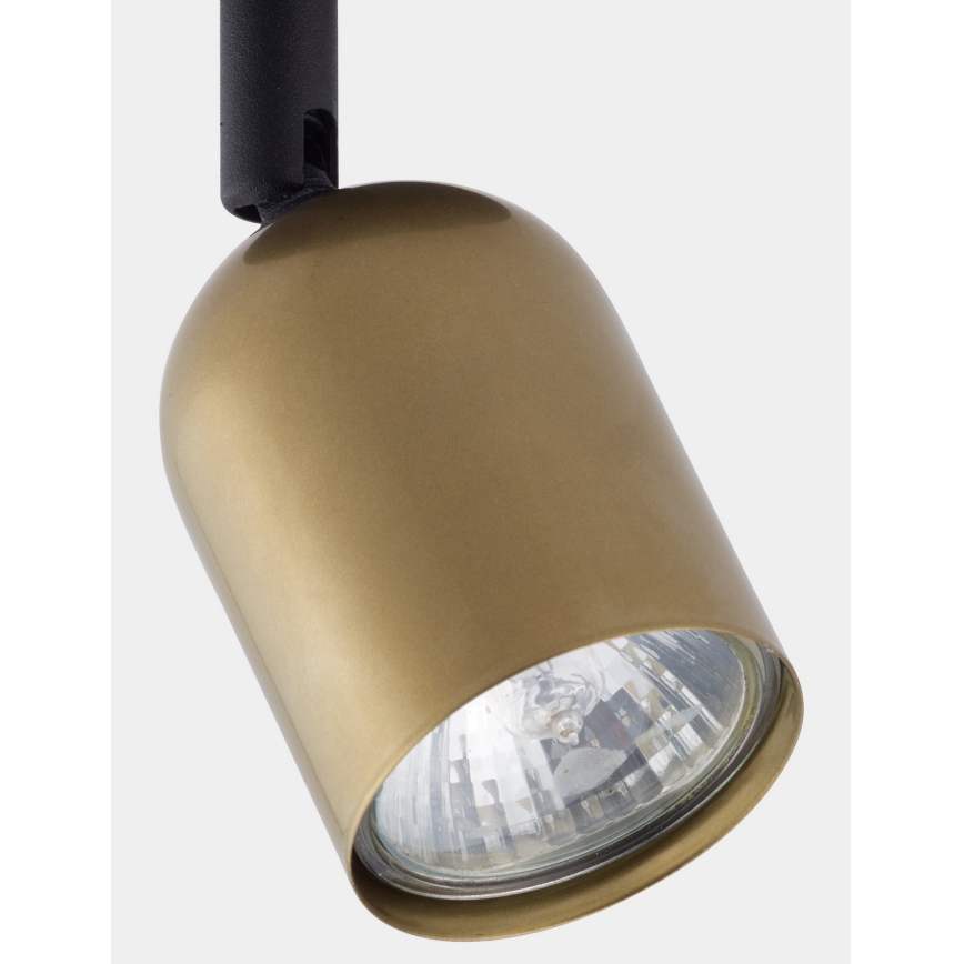Foco LED TOP 1xGU10/10W/230V oro/negro
