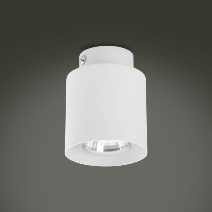 Foco LED VICO WHITE 1xGU10/10W/230V