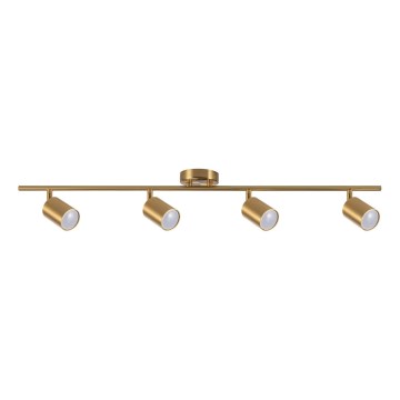 Foco orientable GOLDIE 4xGU10/10W/230V dorado