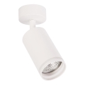 Foco orientable PIPE 1xGU10/10W/230V, blanco