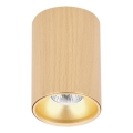 Foco orientable TUBE 1xGU10/15W/230V beige