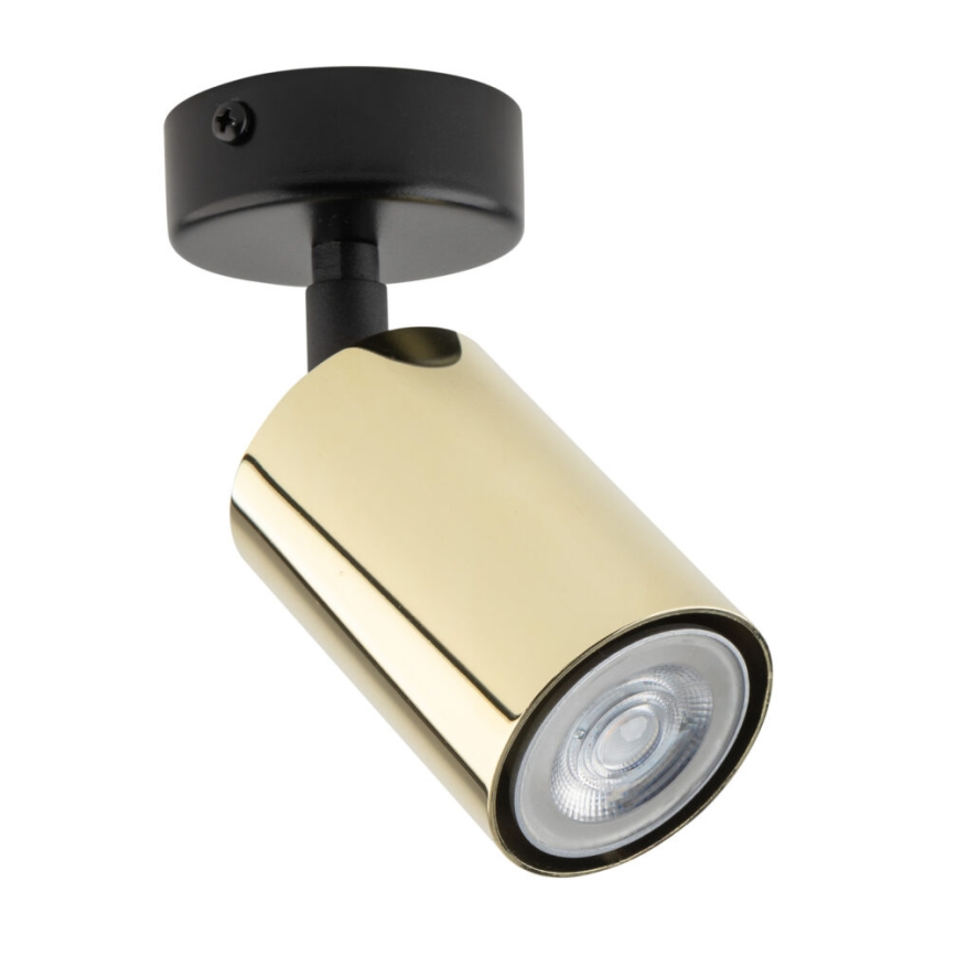 Foco orientable ZOOM 1xGU10/10W/230V dorado/negro
