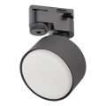 Foco para sistema de raíles monofásico AVIA 1xGX53/15W/230V negro