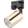 Foco para sistema de rieles TOP 1xGU10/10W/230V dorado/negro