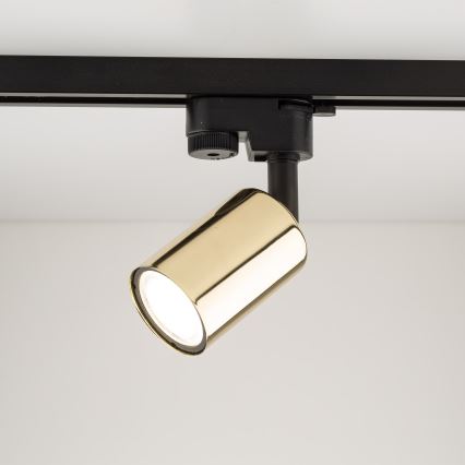 Foco para sistema de rieles TOP 1xGU10/10W/230V dorado/negro