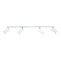Foco RING 4L 4xGU10/10W/230V blanco