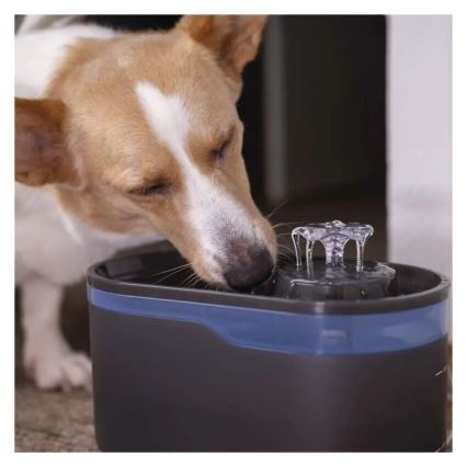 Fuente de agua inteligente para mascotas 2,6 l/5V gris Wi-Fi