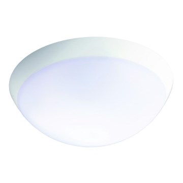 Fulgur 26233 - Luz de emergencia LED de alta potencia con sensor ROMANA LED/20W/230V 2200 mAh IP64