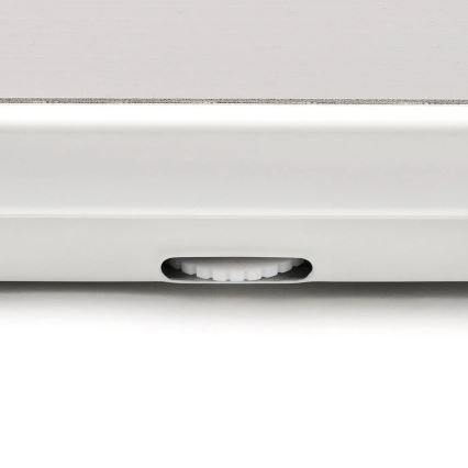 G3Ferrari G3004800 - Báscula personal mecánica CLASSICA gris