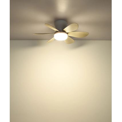 Globo - Ventilador de techo LED regulable LED/5W/230V 2700-6500K beige + mando a distancia