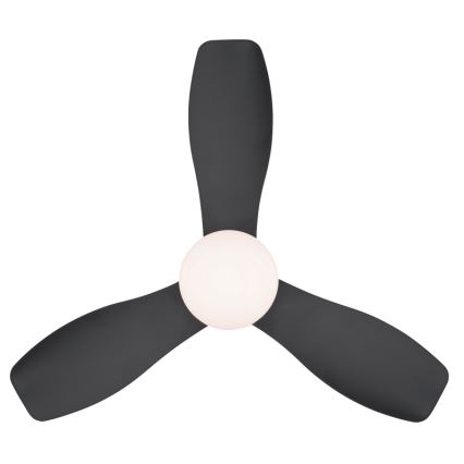 Globo - Ventilador de techo LED regulable/15W/230V 2700-6500K negro + mando a distancia