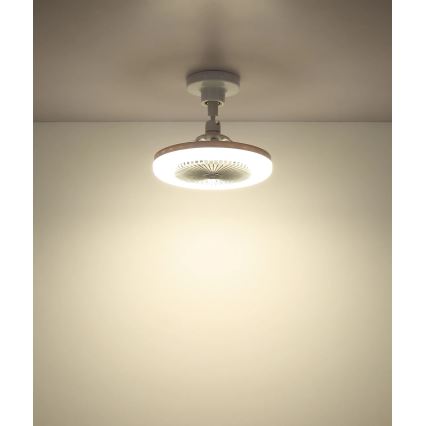Globo - Ventilador de techo LED regulable LED/20W/230V 3000-6500K blanco + mando a distancia
