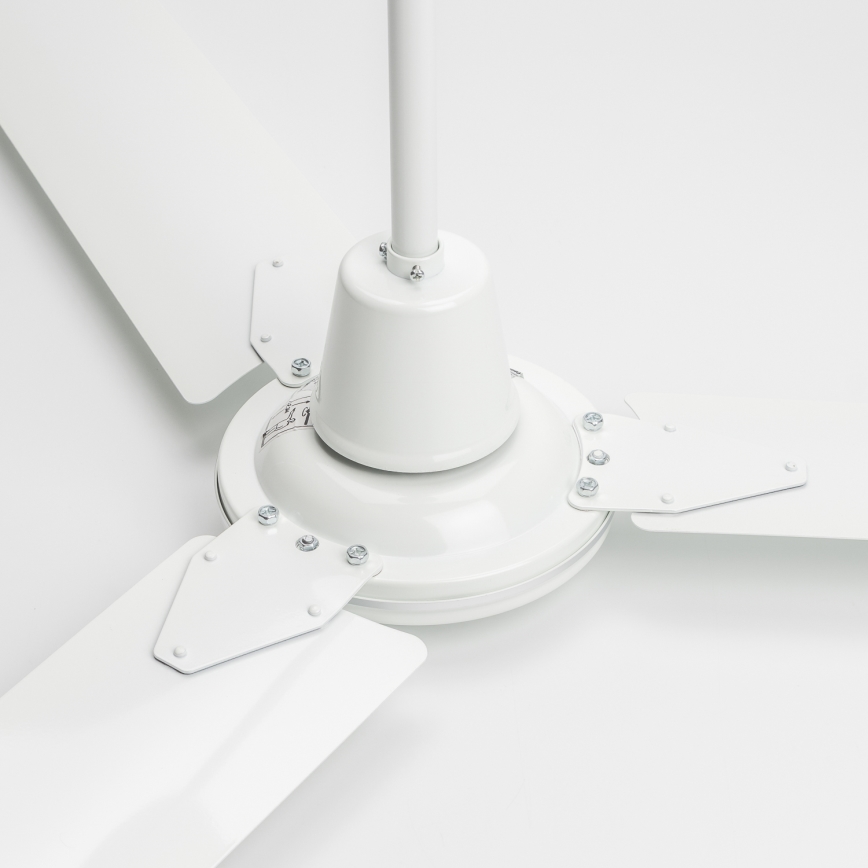 Globo 03806 - Ventilador de techo FERRO