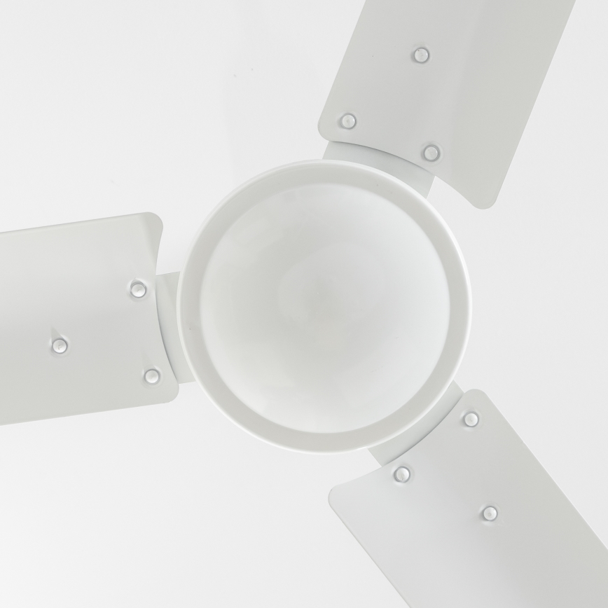 Globo 03806 - Ventilador de techo FERRO
