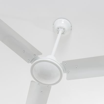 Globo 03806 - Ventilador de techo FERRO