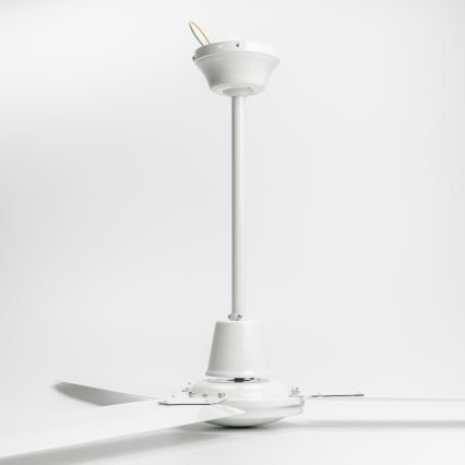 Globo 03806 - Ventilador de techo FERRO