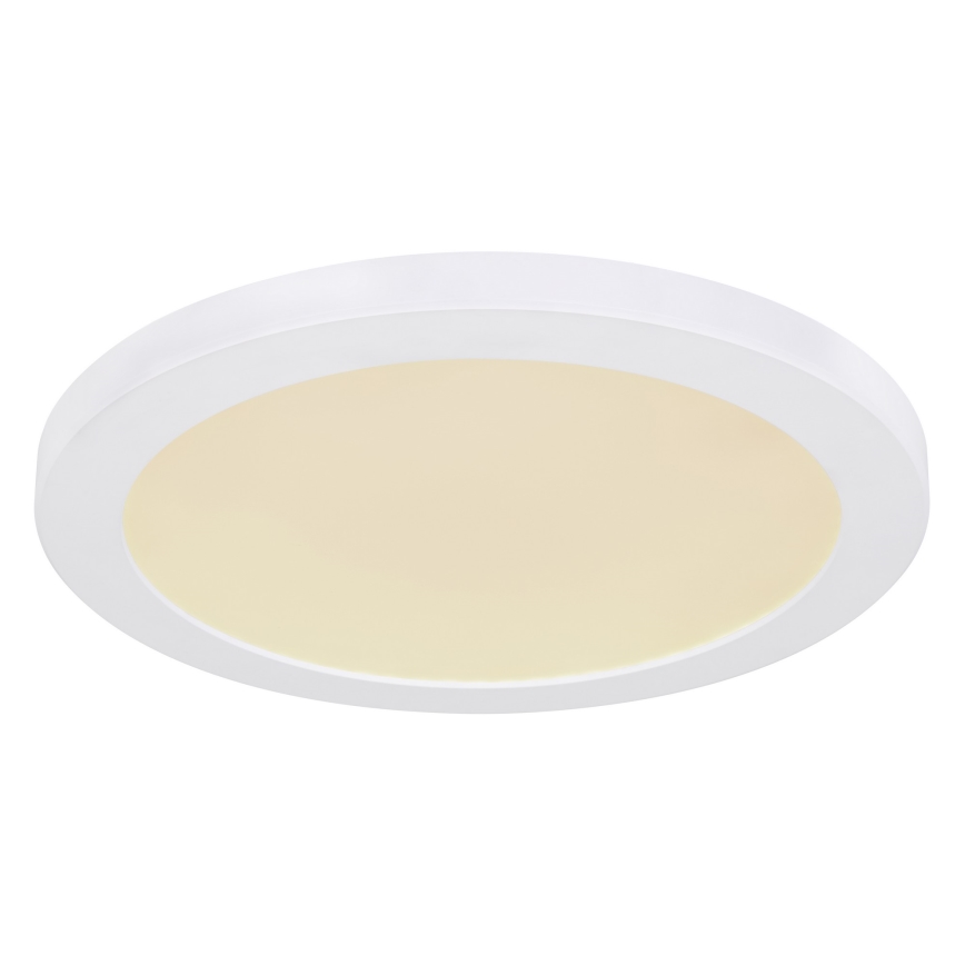 Globo - Plafón LED LED/24W/230V 3000/4000/6500K blanco