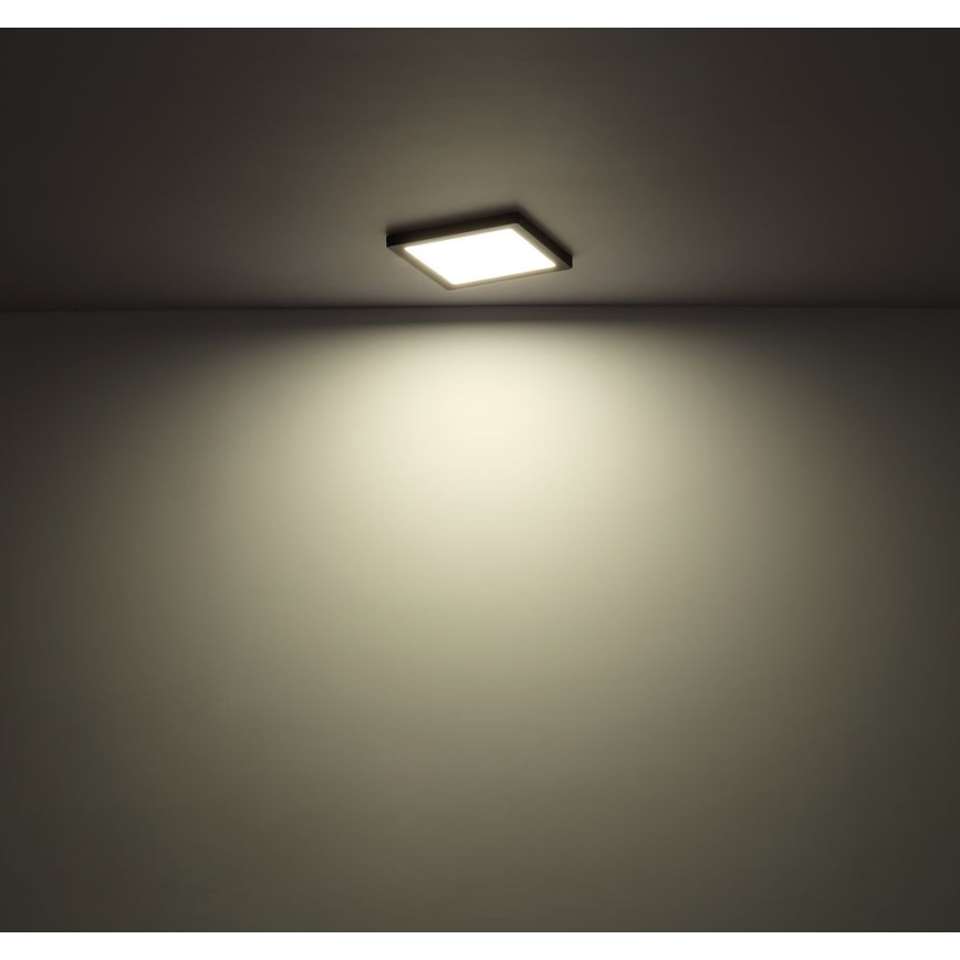 Globo - Plafón LED LED/24W/230V 3000/4000/6500K negro