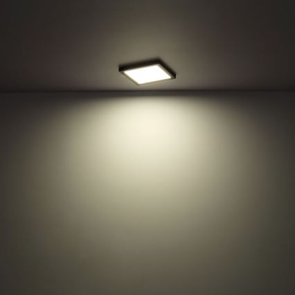 Globo - Plafón LED LED/24W/230V 3000/4000/6500K blanco