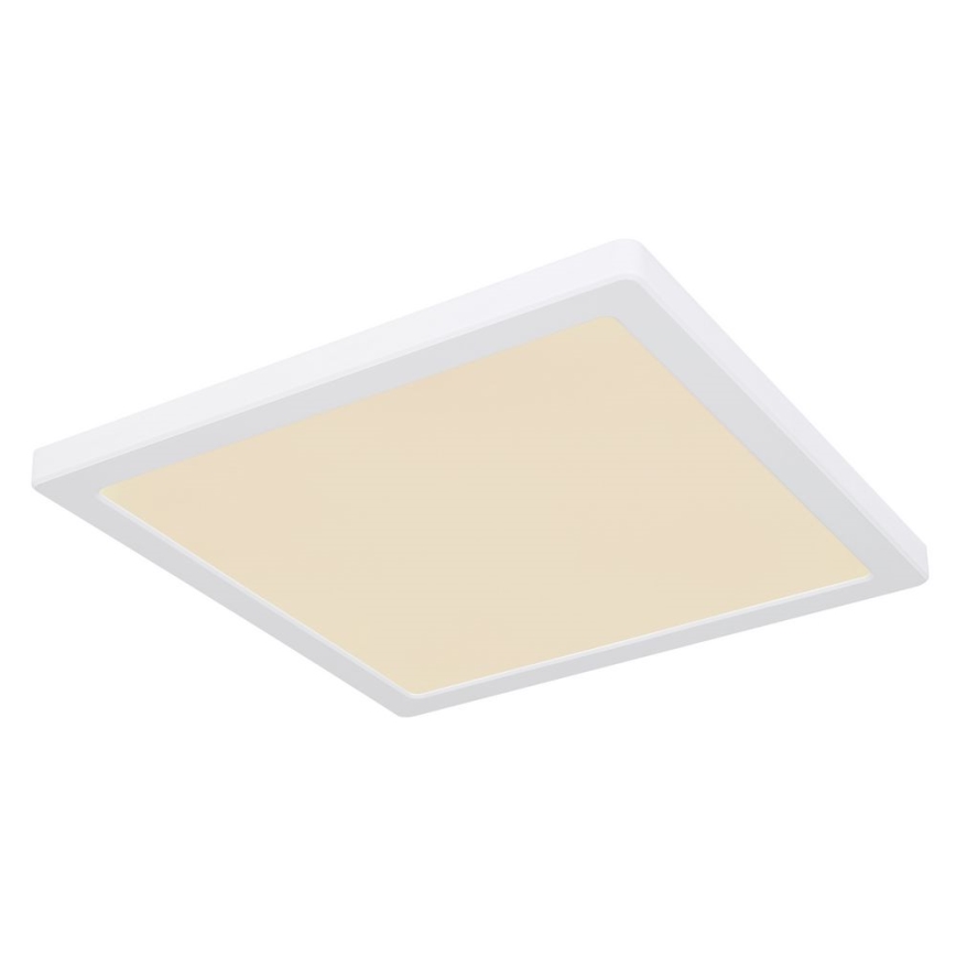 Globo - Plafón LED LED/24W/230V 3000/4000/6500K blanco