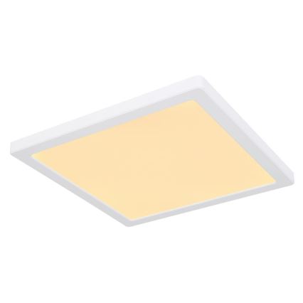 Globo - Plafón LED LED/24W/230V 3000/4000/6500K blanco