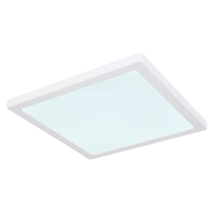 Globo - Plafón LED LED/24W/230V 3000/4000/6500K blanco