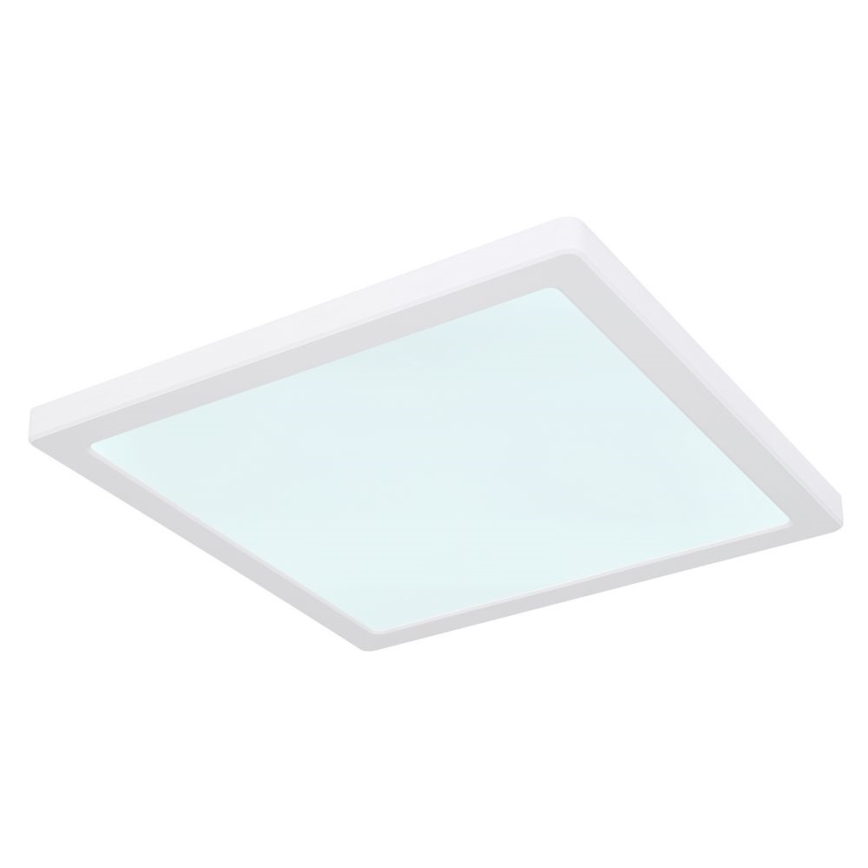 Globo - Plafón LED LED/24W/230V 3000/4000/6500K blanco
