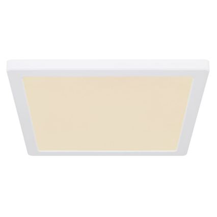 Globo - Plafón LED LED/24W/230V 3000/4000/6500K blanco