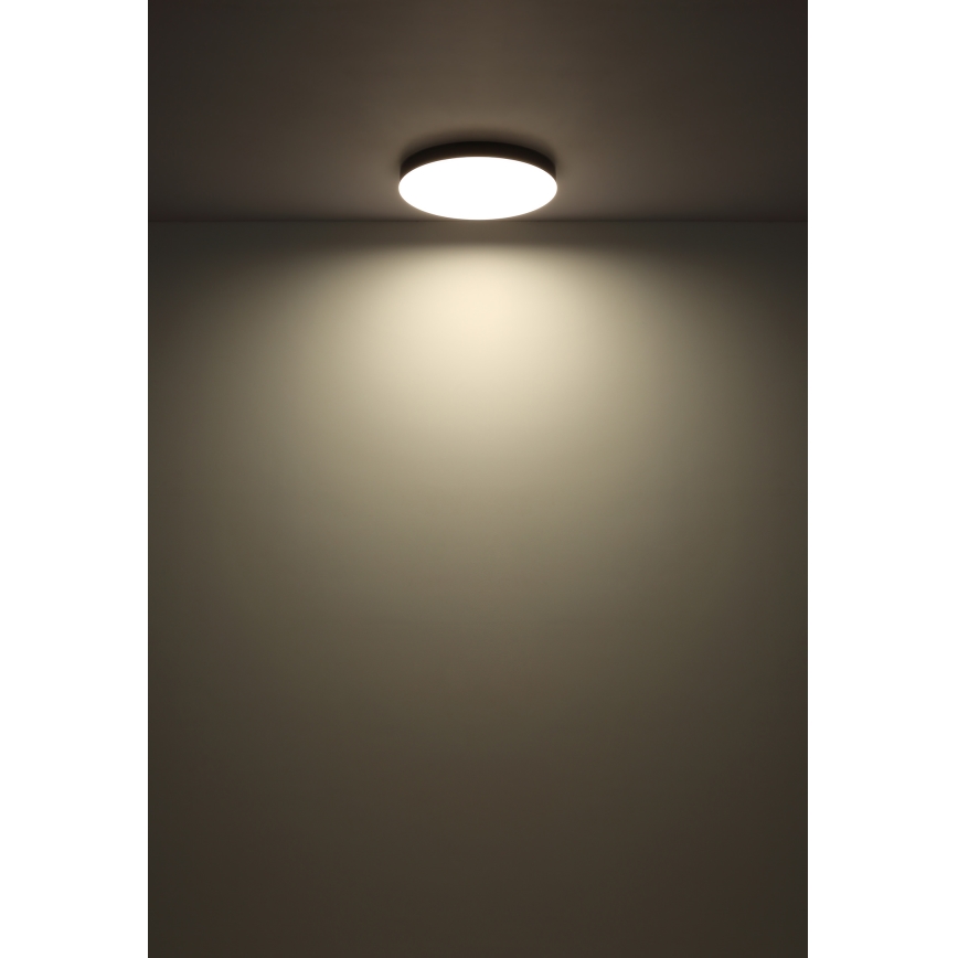 Globo - Plafón LED LED/36W/230V 3000K/4000K/6500K diá. 40 cm negro