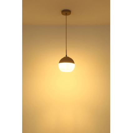Globo - Lámpara colgante con cable 1xE27/60W/230V Ø 20 cm