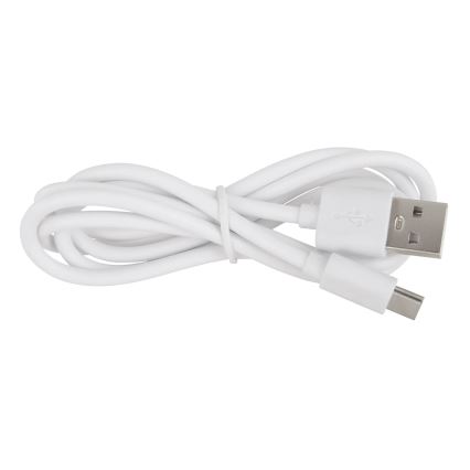 Globo - Lámpara LED recargable táctil regulable 2 en 1 LED/2W/230/5V blanca