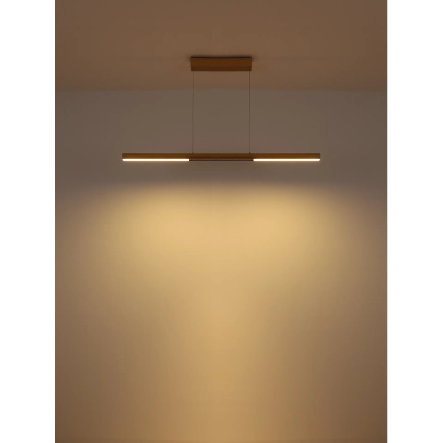 Globo - Lámpara colgante LED con cable LED/24W/230V 3000K