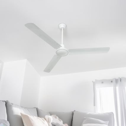 Globo - Ventilador de techo